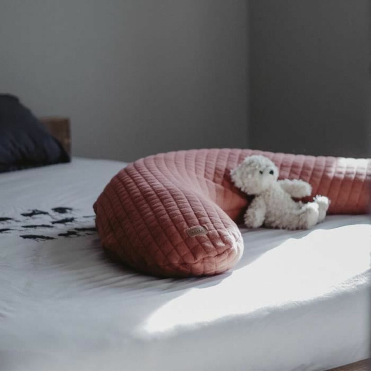 Breastfeeding Cushion Béaba τερακότα (Δωρεάν Μεταφορικά) Breastfeeding Cushion Béaba τερακότα (Δωρεάν Μεταφορικά)