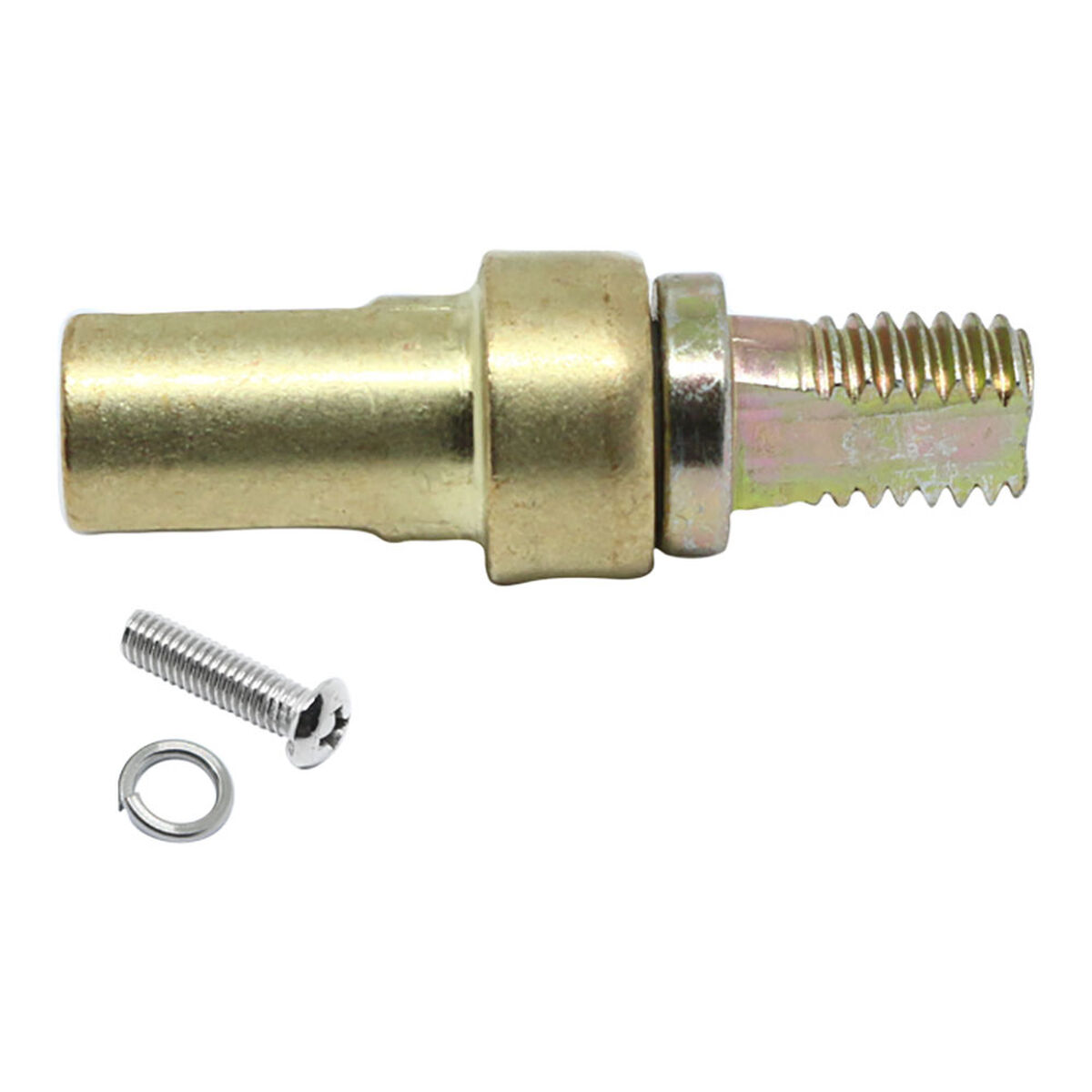 Cone and spindle for express cooker Bergner Ανταλλακτικό San Ignacio Córdoba Cone and spindle for express cooker Bergner Ανταλλακτικό San Ignacio Córdoba