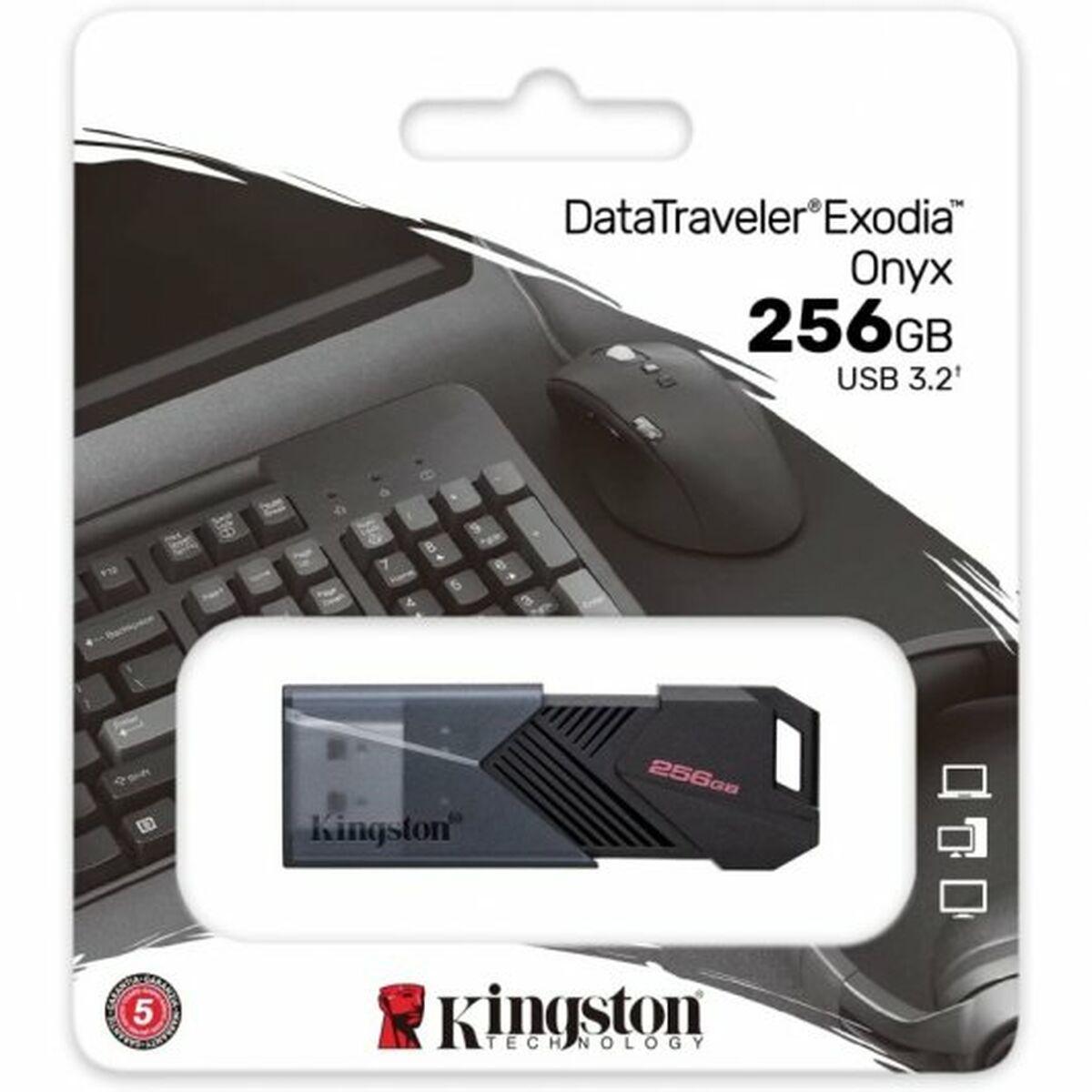 Στικάκι USB Kingston DTXON/256GB Μαύρο 256 GB (1 μονάδα) Στικάκι USB Kingston DTXON/256GB Μαύρο 256 GB (1 μονάδα)