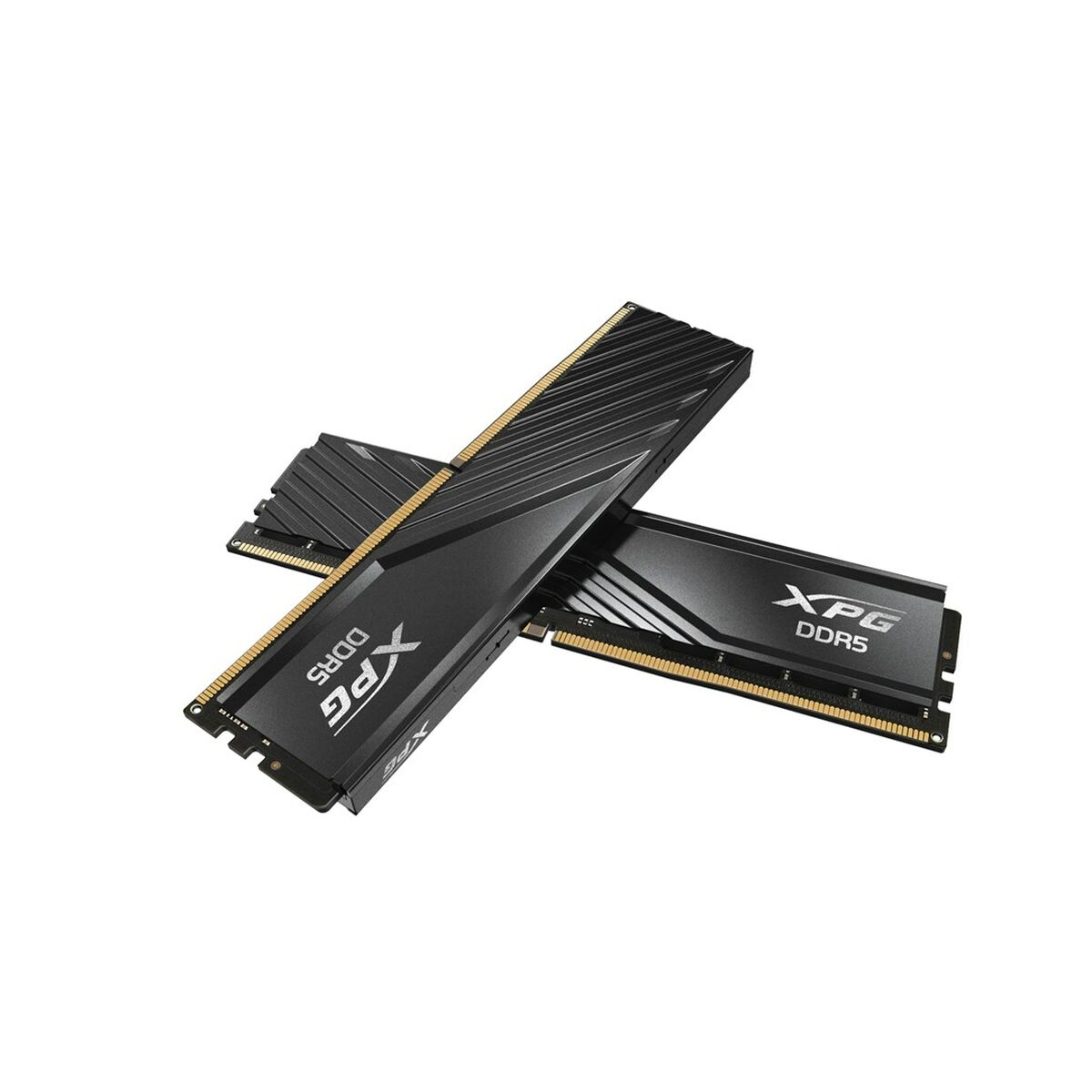 Μνήμη RAM Adata AX5U6000C3016G-DTLABBK 32 GB DDR5 6000 MHz CL40 Μνήμη RAM Adata AX5U6000C3016G-DTLABBK 32 GB DDR5 6000 MHz CL40