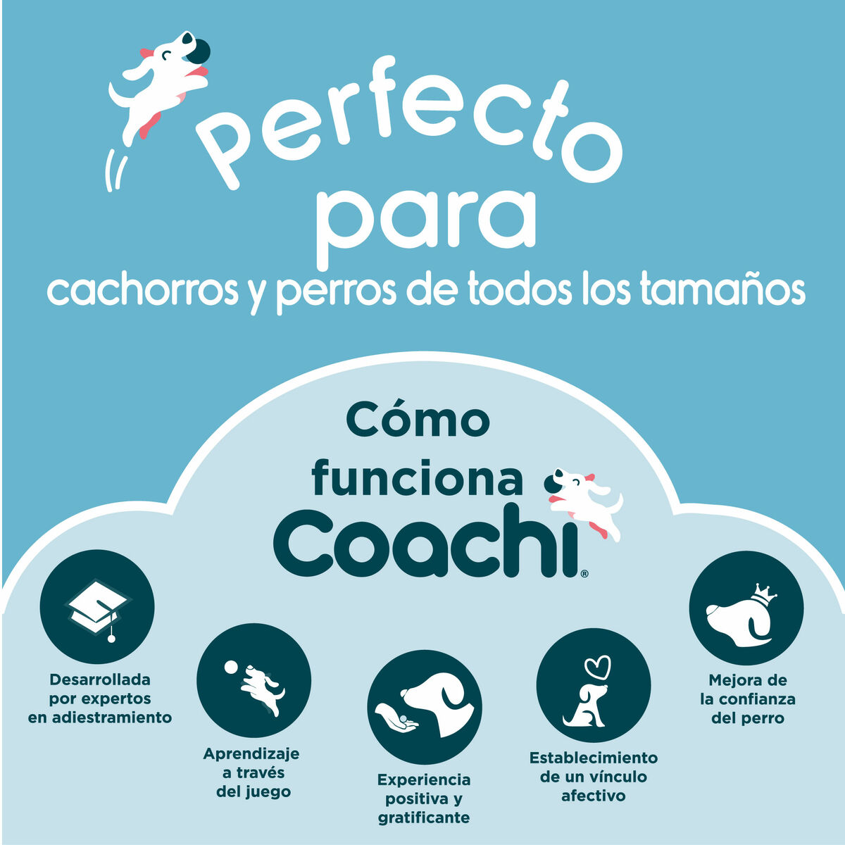 Κασετίνα Coachi Train & Treat Μπλε Κασετίνα Coachi Train & Treat Μπλε