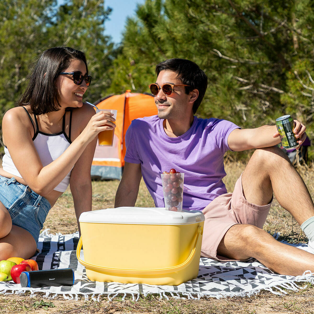 Φορητό Ψυγείο με Σκληρή Κατασκευή Lilty InnovaGoods 15 L