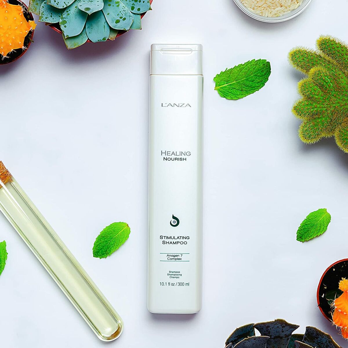 Αναζωογονητικό Σαμπουάν L'ANZA Healing Moisture 300 ml Αναζωογονητικό Σαμπουάν L'ANZA Healing Moisture 300 ml
