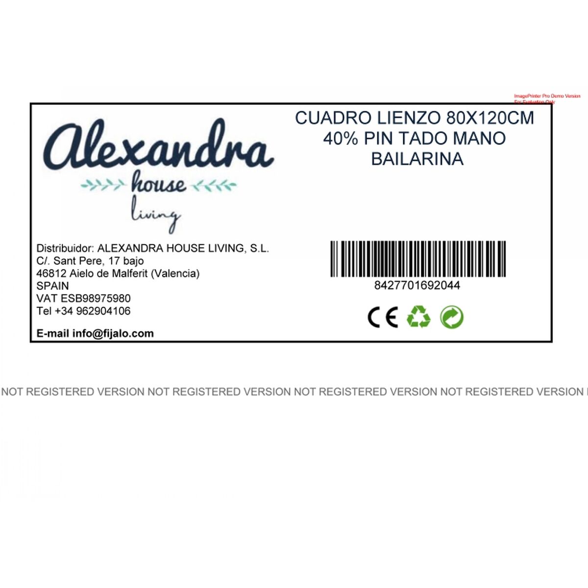 Καμβάς Alexandra House Living Ξύλο 80 x 120 x 3 cm Μπαλαρίνα Καμβάς Alexandra House Living Ξύλο 80 x 120 x 3 cm Μπαλαρίνα